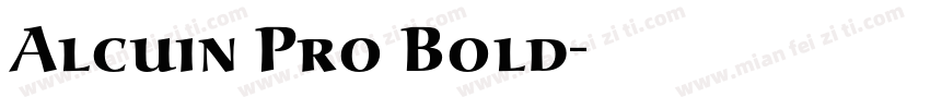 Alcuin Pro Bold字体转换